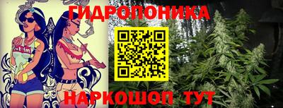 марки lsd Будённовск