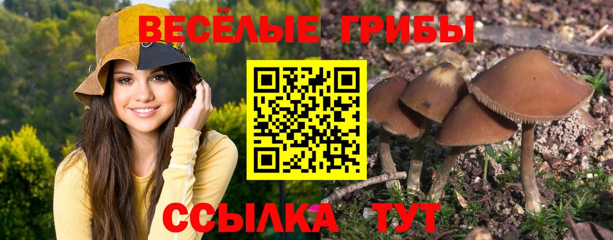 Нальчик  Галлюциногенные грибы мицелий  Псилоцибиновые грибы мухоморы  Вход с VPN 